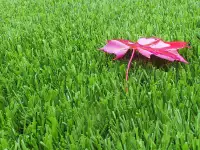 Ландшафтный искусственный газон, 7мм, 18мм, 20мм, 30мм, фотография 2