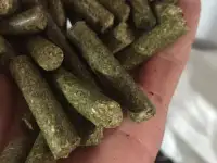 Люцерна в гранулах, фотография 2