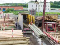 Пропитанные антисептиком опоры столбы ЛЭП, фотография 3