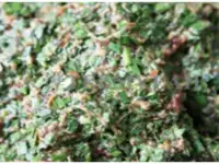 Миксер для смешивания салатов с 1 и 2-мя шнеками Vega Mix, фотография 3