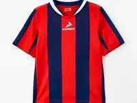 Футболка спортивная demix