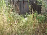 3 х комнатная квартира, Абылай Хана, фотография 7