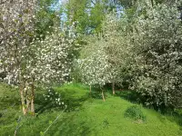 Загородний дом-дача, фотография 4