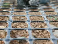 Георешетка СД полимерная двуосноориентированная, фотография 4