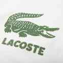Хлопковая толстовка lacoste, фотография 3