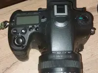 Sony A77II  объектив 18135mm SAM, фотография 6