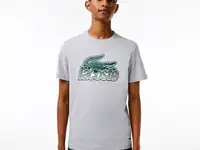 Мужская хлопковая футболка lacoste