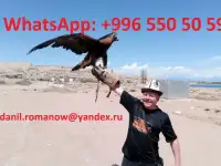 Travel in Kyrgyzstan, tourism, excursions, guide, hiking in mountains, driver