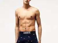 Мужское нижнее бельё lacoste (3 шт.)
