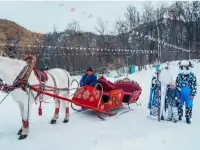 Дед Мороз на санях, фотография 2