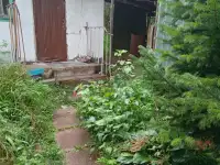 Продам дачу за Понтонным мостом, фотография 3