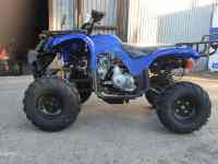 Квадроциклы 50,110,125,250сс, фотография 7