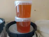 Продам свежий мёд, фотография 2