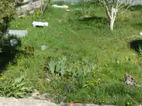 Продам дачу в Алматинской области севернее поселка Кендала. ПК Восход., фотография 11