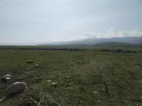 Продам земельный участок 132сотки., фотография 4