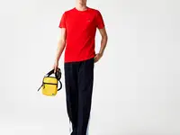 Мужская футболка lacoste regular fit