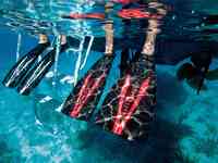 Ласты экспресс white artic