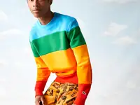 Мужская толстовка lacoste x polaroid в полоску