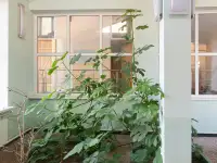 Продам дачу мечты, Шамалган, Шамалганские дачи, фотография 4