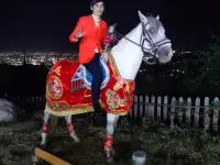 кудалык, беташар, фотография 2