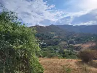 Продаем участок в Каскеленском ущелье, фотография 5