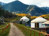 Туры, путевки, фотография 3