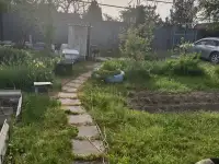 Продам дачу, участок, фотография 3