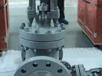 Задвижки клиновые ASME API Gate valves ASME API, фотография 9