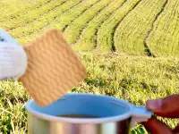 Участки в Катон-Карагае, фотография 10