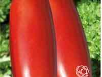 Семена Томат Итальянские спагетти 20 шт.