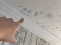 Услуги отделочника алматы, фотография 3