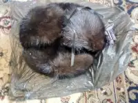 Норковый шапка, фотография 8