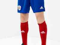 Шорты спортивные adidas