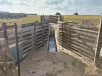 Продам готовое КХ, фотография 10