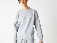 Мужской свитшот lacoste regular fit