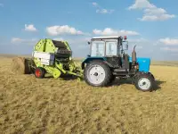 Продам готовое КХ, фотография 11