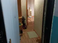 Продам 1 комнатную квартиру, Парковая 132, фотография 2