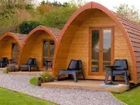 Строительство Кемпингов, Гостевых домов, Глэмпингов, Юрт, фотография 5