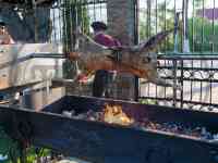 Производство и продажа электро-вертелов, фотография 5