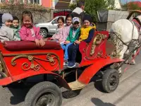 продам карету - фаэтон, фотография 3