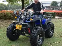 Квадроцикл 250 кубов ( Кардан), фотография 7