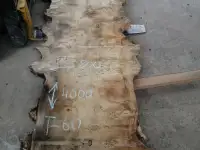 Слэбы от производителя из дуба, шпальтового бука, капового тополя, вербы, капового карагача, ясеня., фотография 3