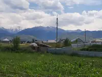 Продам участок 76 соток, р/н Кызыл Кайрат, фотография 4