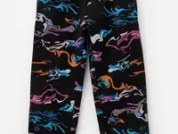 Брюки спортивные acoola