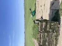 Озеленение