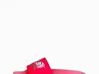 Сланцы t.taccardi, фотография 2