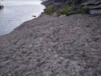 Сдам семейным людям домик в Бухтарме, Базы отдыха пос. Бухтарма, фотография 10