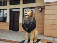 Продажа МАФ, фонтаны, вазоны, клумбы, скамейки, скульптуры садовые, скульптуры животных, фигурки, памятники, бюсты, наци, фотография 3