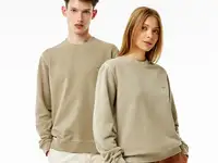 Толстовка lacoste unisex
