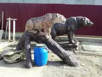 Продажа вазонов , скульптур, фотография 5